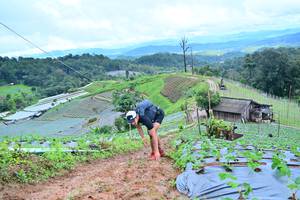 BIB: 609
                            <button type="button" onclick="openModal(13378691)" class="btn btn-primary btn-sm float-right btn-popup" data-toggle="modal" data-target=".modal-high-quality">
                        <i class="fas fa-shopping-cart"></i> Add to Cart
                    </button>
                                            <button type="button" onclick="isThisMe(13378691, true)" class="btn btn-success btn-sm float-right btn-popup btn-isme hidden" data-toggle="tooltip" data-placement="bottom" title="นี่คือรูปของคุณใช่ไหม คลิกที่นี่เพื่อเอาเข้าอัลบั้ม">
                        <i class="fas fa-plus"></i> Add to album
                    </button>
                    <button type="button" onclick="isThisMe(13378691, false)" class="btn btn-warning btn-sm float-right btn-popup btn-isnotme hidden">
                        <i class="fas fa-ban"></i> Remove from album
                    </button>